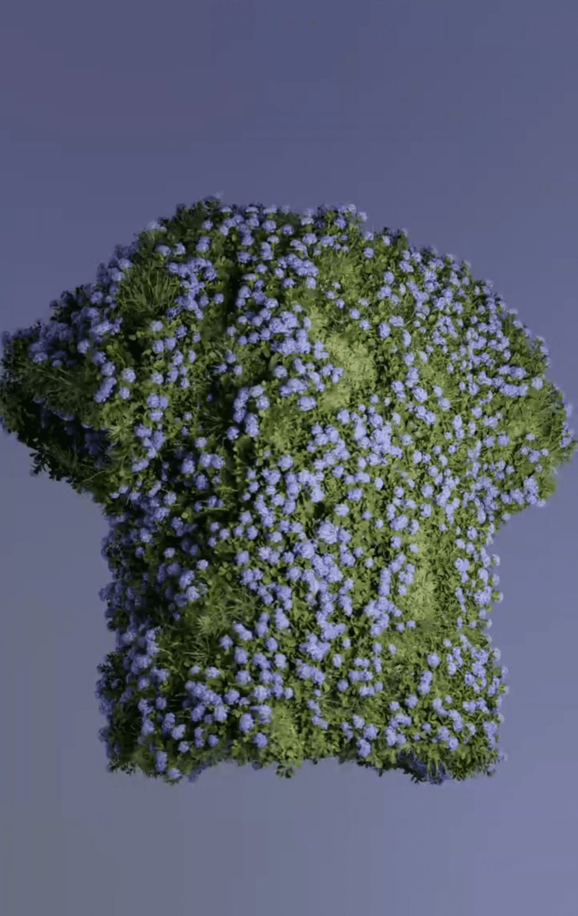 Renders for Fallacie — flower tee