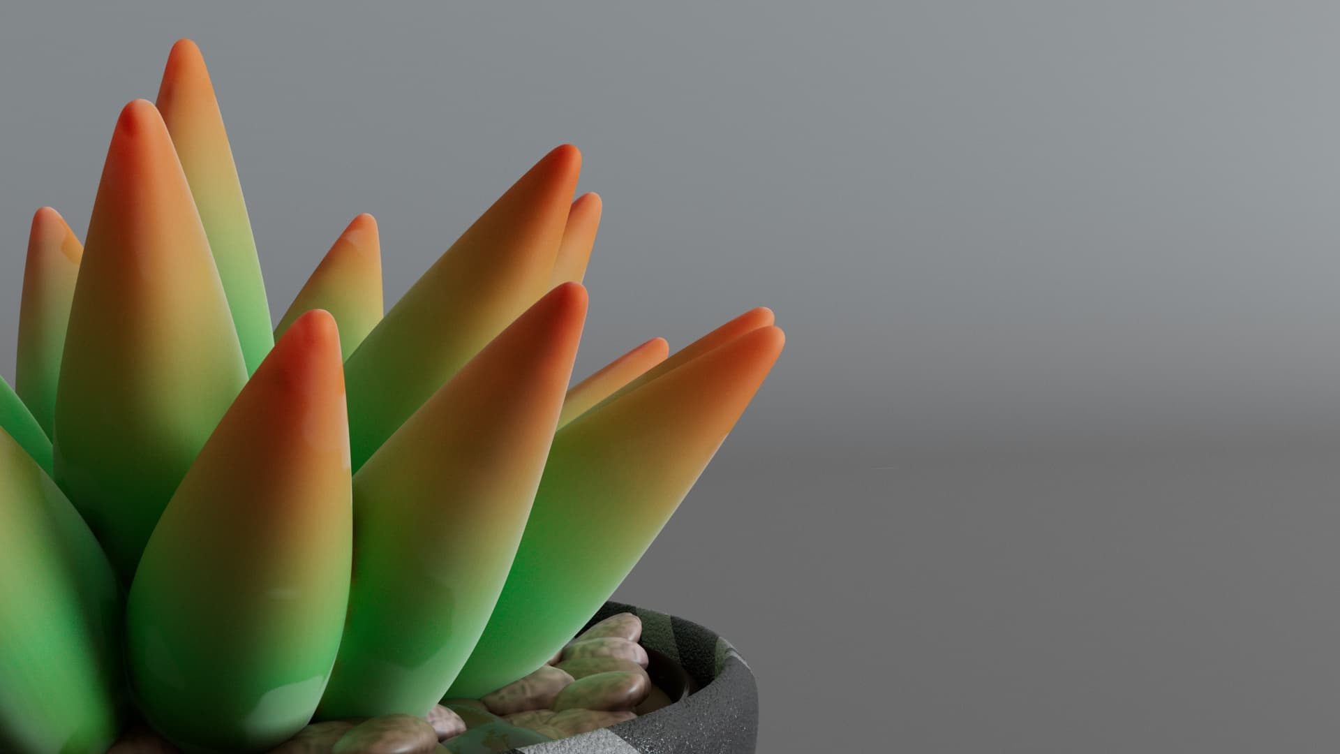 Succulent — plant closeup