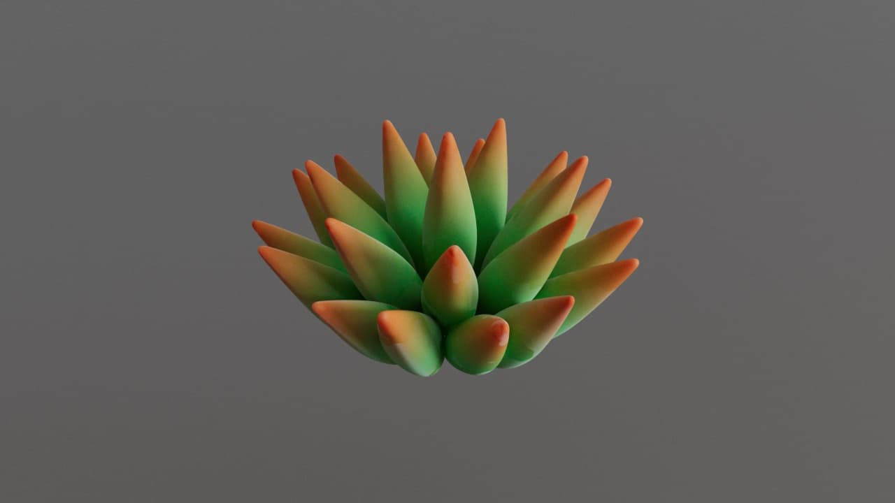 Succulent — plant render