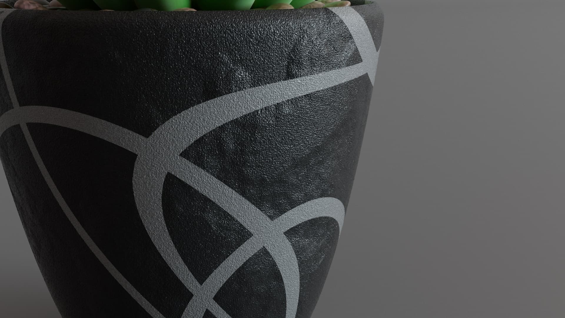 Succulent