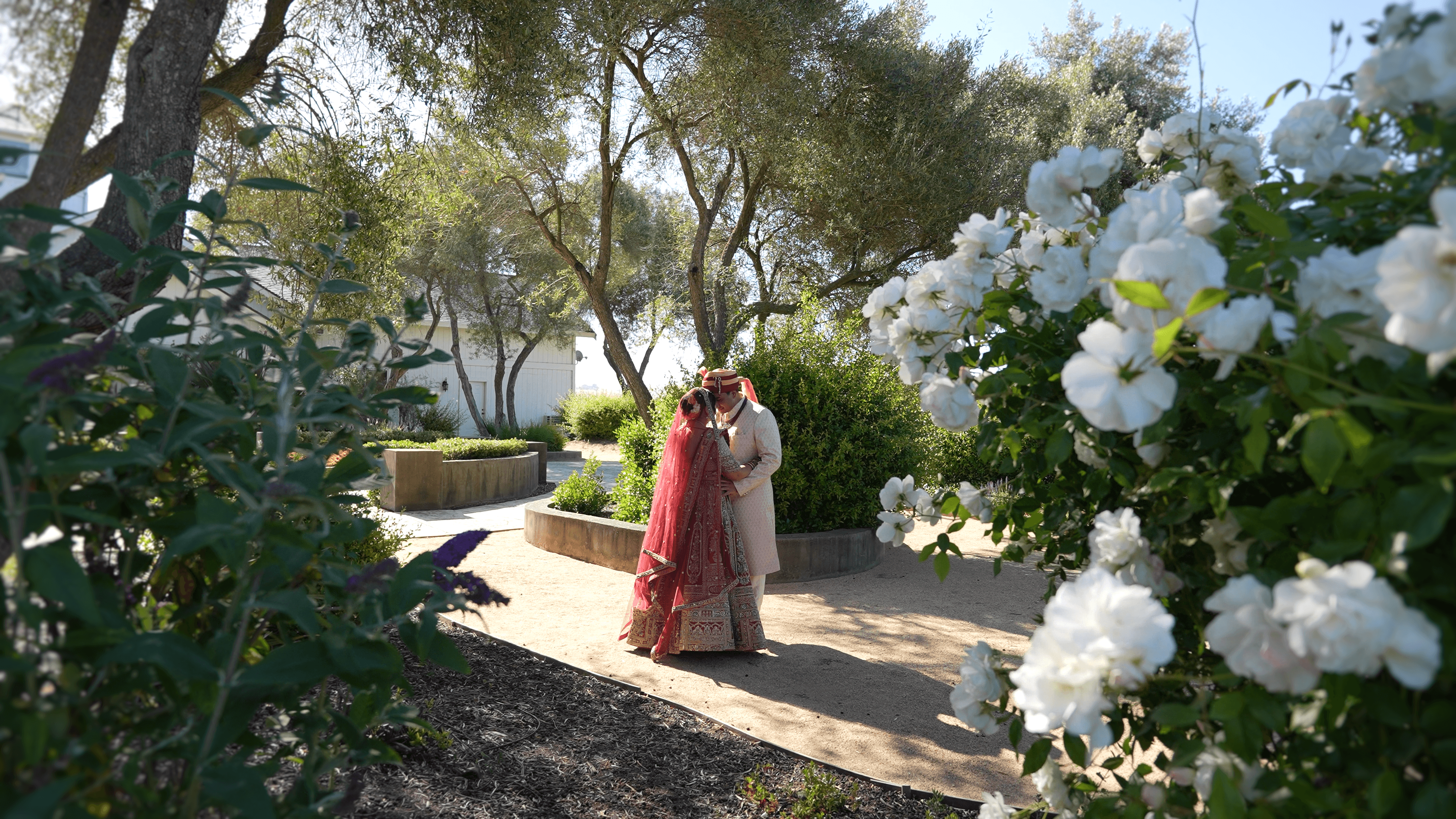 Sunny & Shubhi Wedding
